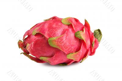 Dragon fruit