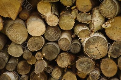 wood logs background