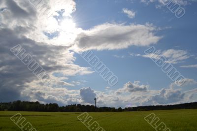 Field Field