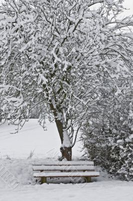 Winterly Place