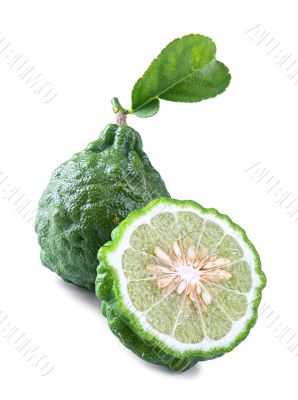kaffir lime