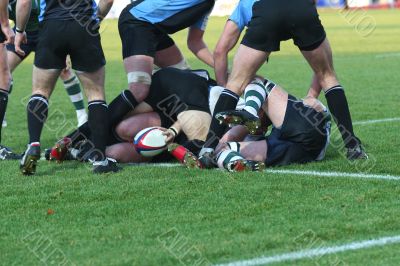 rugby