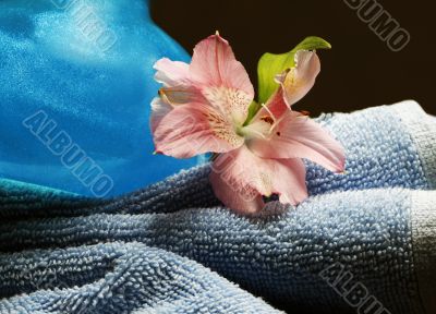 Blue towel and bottle with shampoo