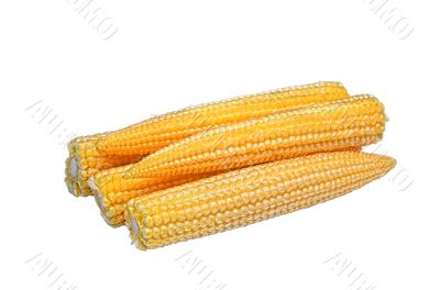 Baby corn