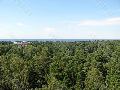 Forest and Baltic sea
