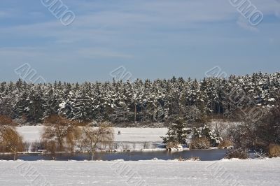 Sea in Winter