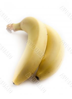 Two bananas on white background.