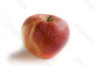 Red apple on white background.