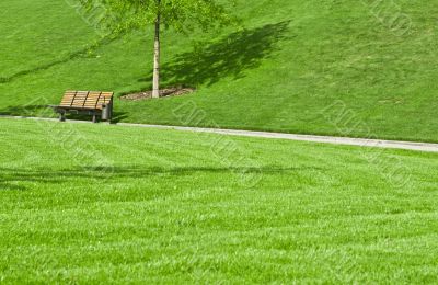 wooden bench in a city park