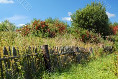 Shabby fence in the Russian Village