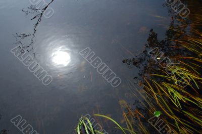 Sun Reflection in the Cold Water