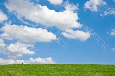 Meadow with Clouds