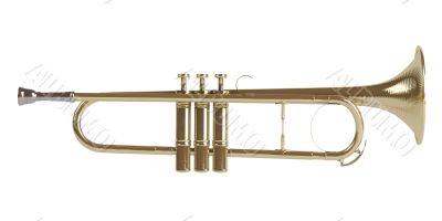 Trumpet Trumpet