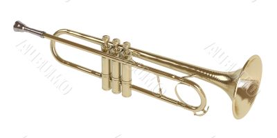 Trumpet Trumpet