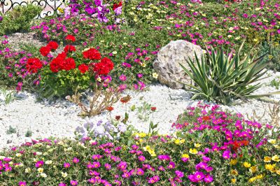 flower beds flower beds