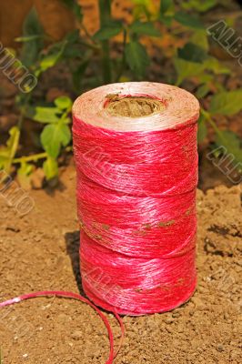 Pink coil on the soil