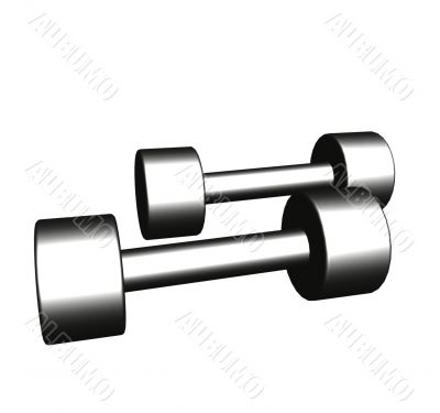 Steel dumbbells for matutinal charging