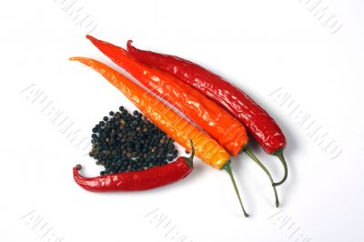 Red pepper chili and a black bell pepper