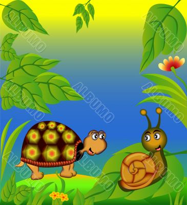 nice terrapin and snail in herb