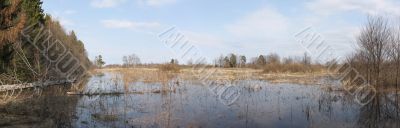 Panorama spring flood