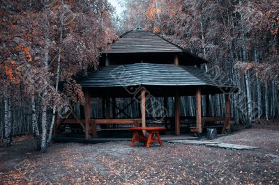 Gazebo in the birch grove