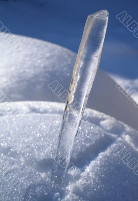 Icicle in the snow Icicle in the snow