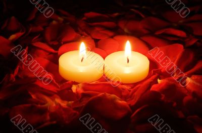  candles on rose petals