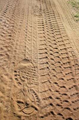 Sand Footprints