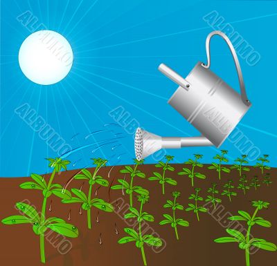 sprinkling can waters plant solar daytime