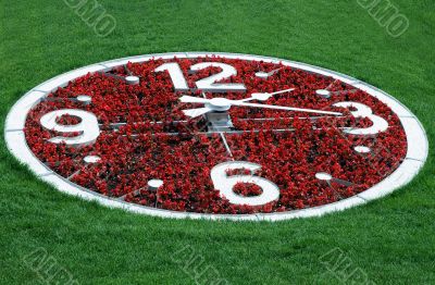 Flower Clock Against Lawn Background