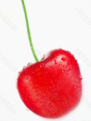 Cherry with water drops and green stem