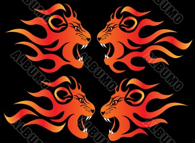  set illustration infuriated lion