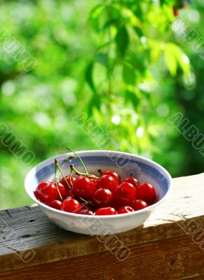 Sweet cherries