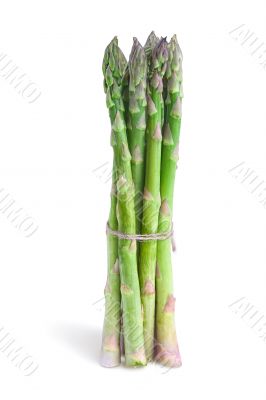 asparagus asparagus