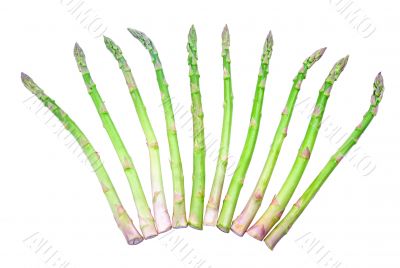 asparagus asparagus