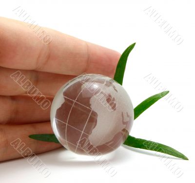Hand protecting glass globe with leaves