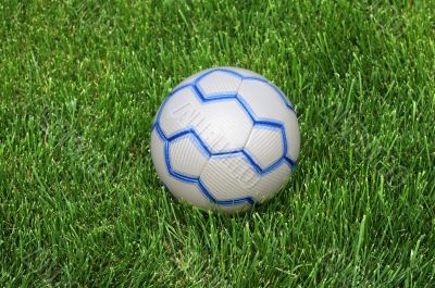 Soccer Ball on the Green Grass