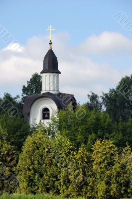 White Chapel Surrounded by Green Trees