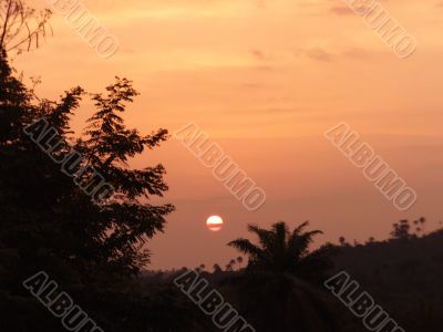 Sunset in Tropical Areas -1