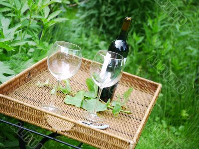 Wine Bottle and Glasses in Garden