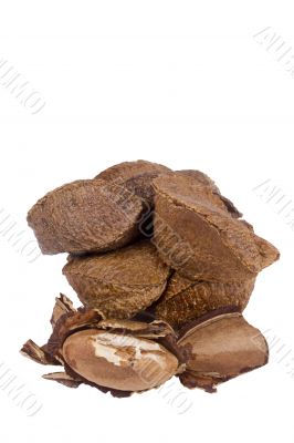 Brazil Nut