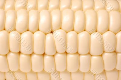 corn texture