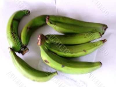 Plantain