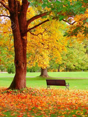 Autumn in Helsinki Public Garden