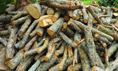 Firewood Kindling
