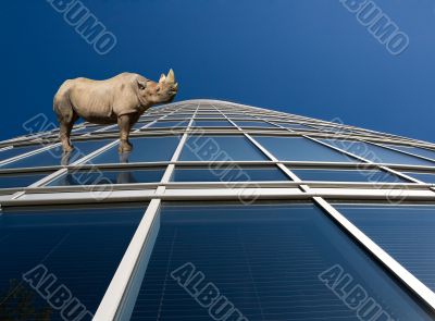 Rhino standung on skyscraper windows