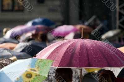 Crowd of people with umbrellas