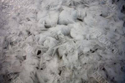 Ice texture of frozen sea Ice texture of frozen sea