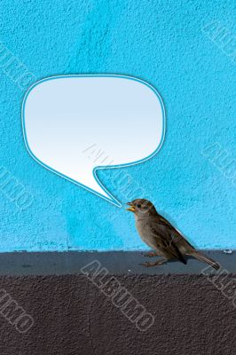 Bird twittering