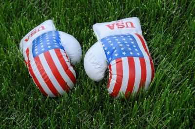 Boxing Gloves with US Flag Image on the Lawn